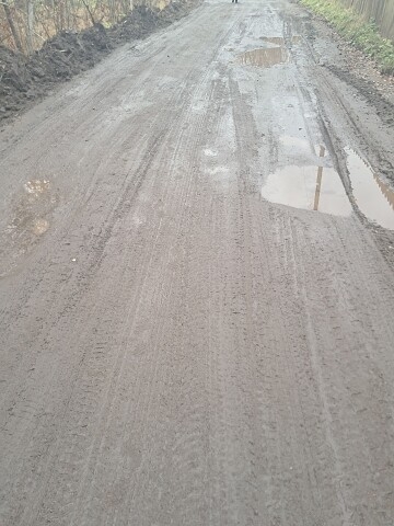 Дорога ,которая ведёт к ветеринарной станции . По этой ?...