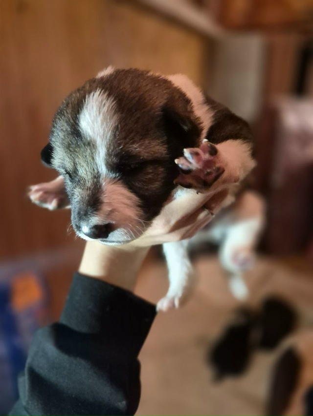 Ребята. Всем большой привет. Думаю, что многие видели п?...