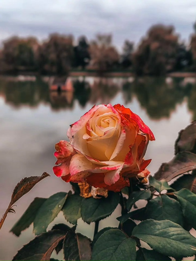 Шато Эркен 🇷🇺