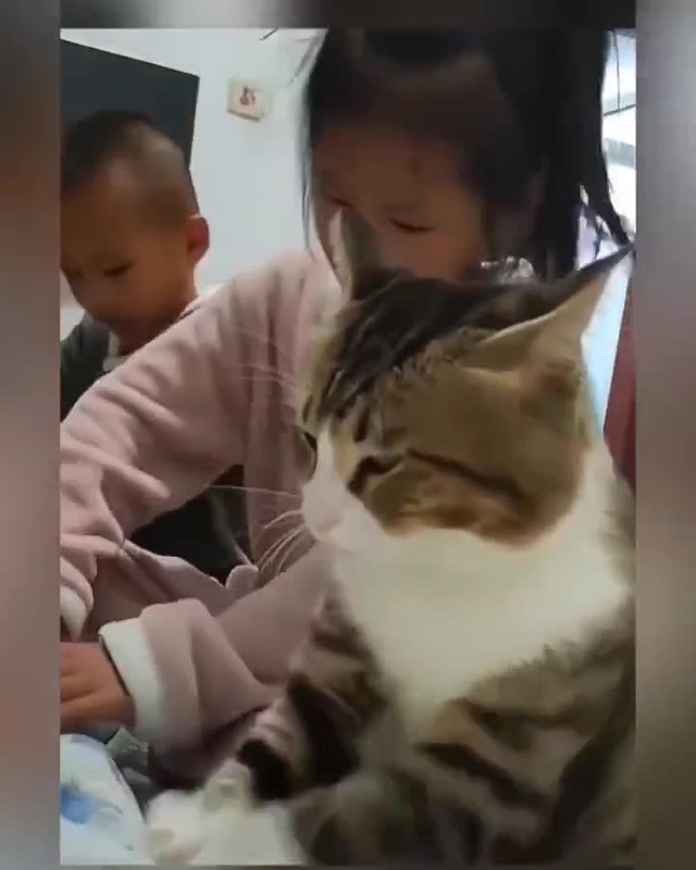 Снова до слёз, какие у них добрые сердечки♥