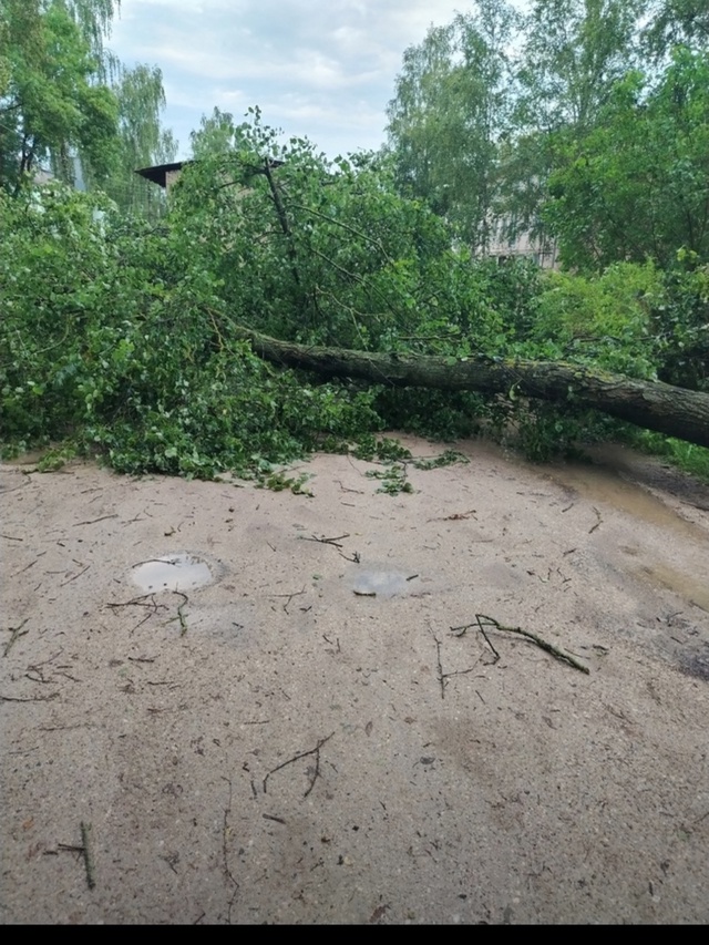 Доброе утро! Вот такое утро в Острове - 2