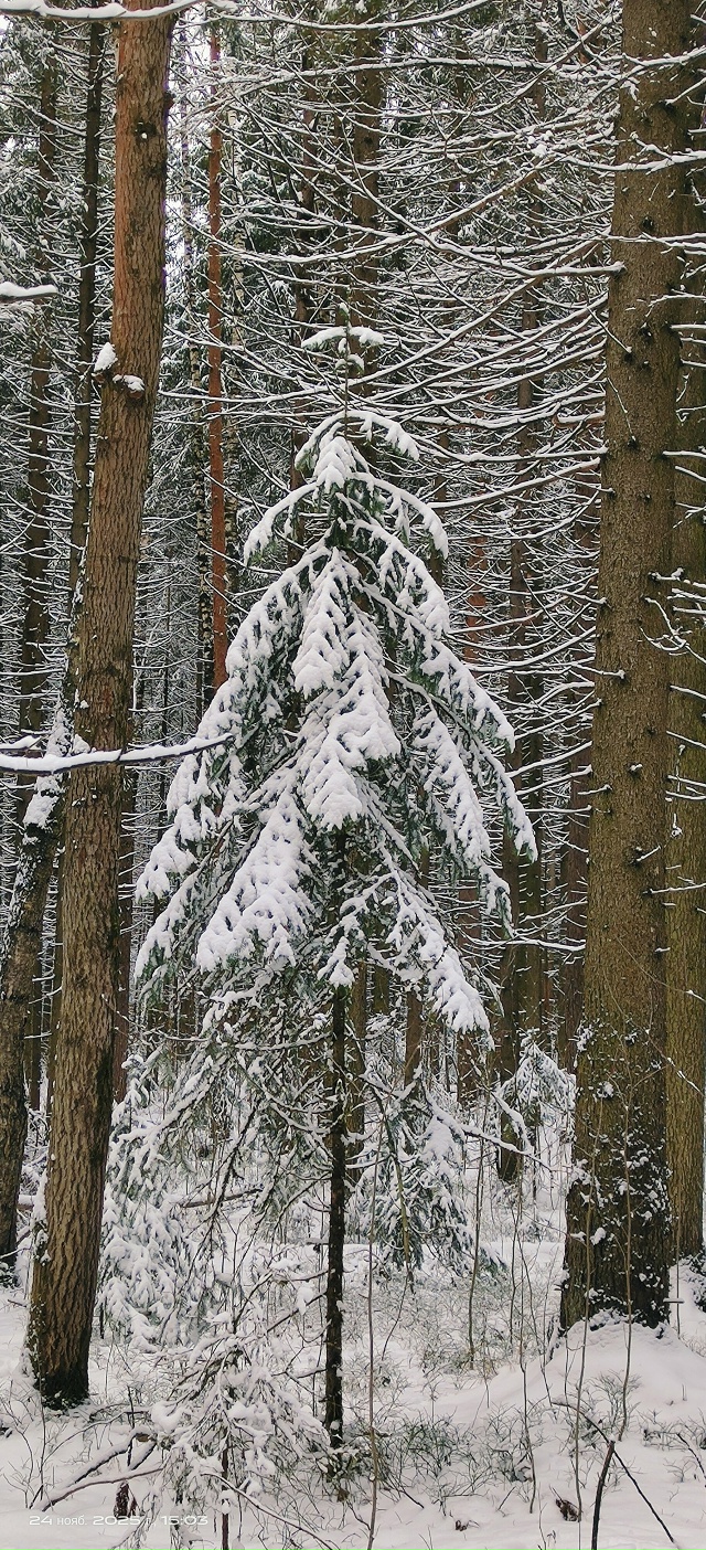 Доброй ночи, Никольск❤