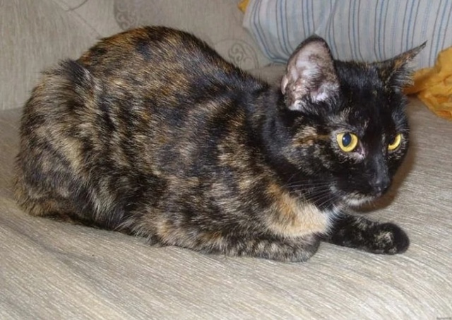 При сьезде с обездной дороги в прогон напротив