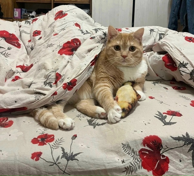 Внимание ❗❗❗
Внимание ❗❗❗
Никольск!!! Уважаемые жи?...