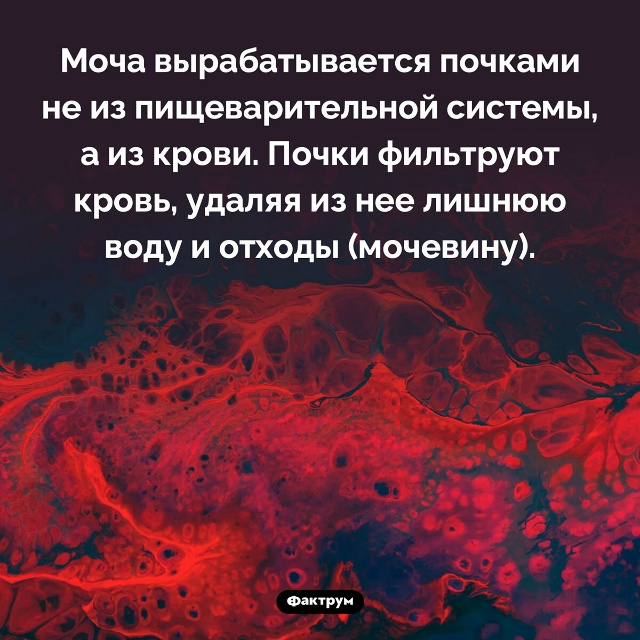 Подборка интересных фактов.