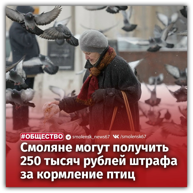 👉Если после того, как вы покормили птиц, на месте оста?...