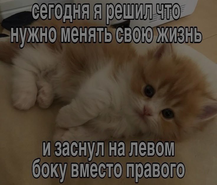 Ночная подборочка
Спать, режим