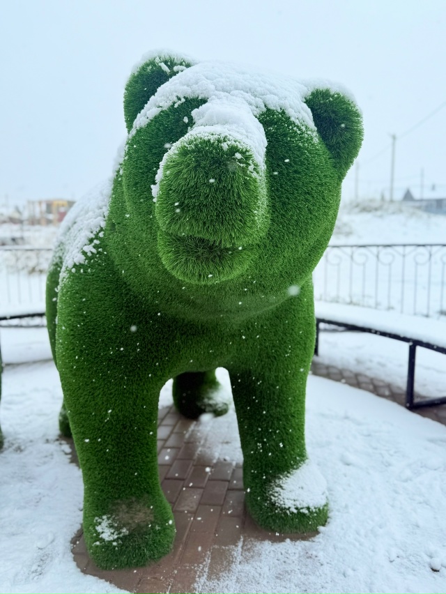 Первый снег в Шойне
Фото Валентины Малыгиной