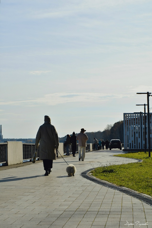 Количество солнечных дней сокращается.
Как поднимает?...