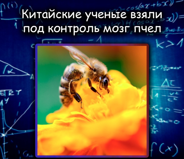 Китайские учёные создали нейрочип, который позволяет ?...