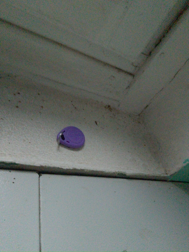 Набережная 58, кнопку кто потерял?