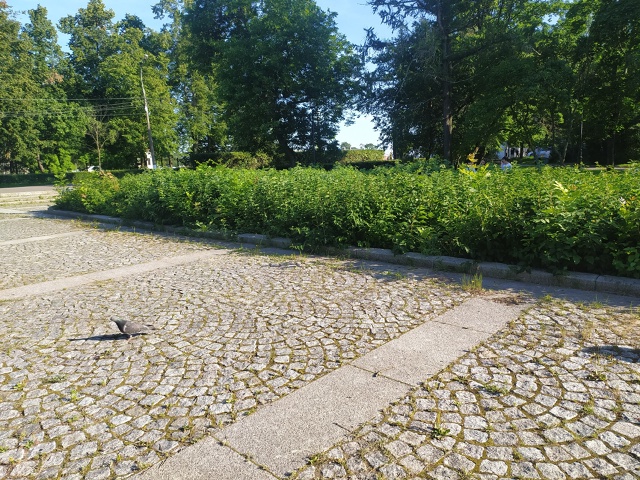 В коллекцию городских 