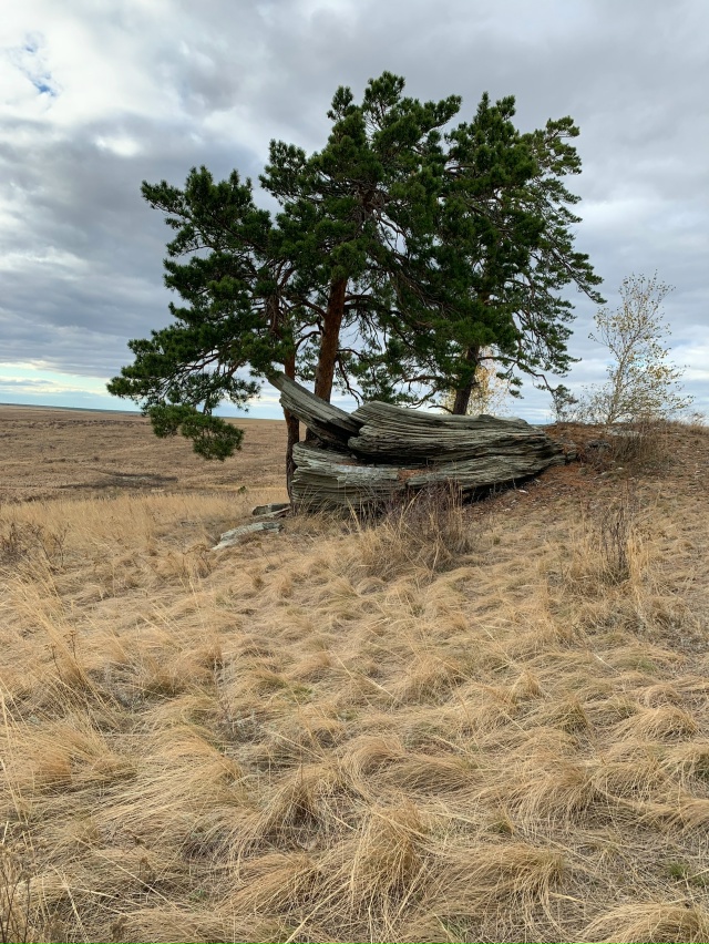 ? В Карагайском бору у реки Губерля — настоящая приро...