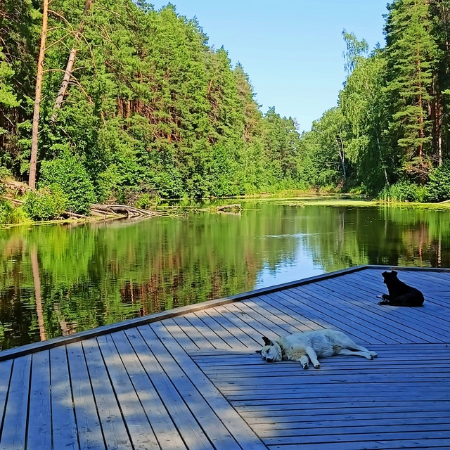 Привет из Ижевска) приехали в гости, прошли сегодня тро...