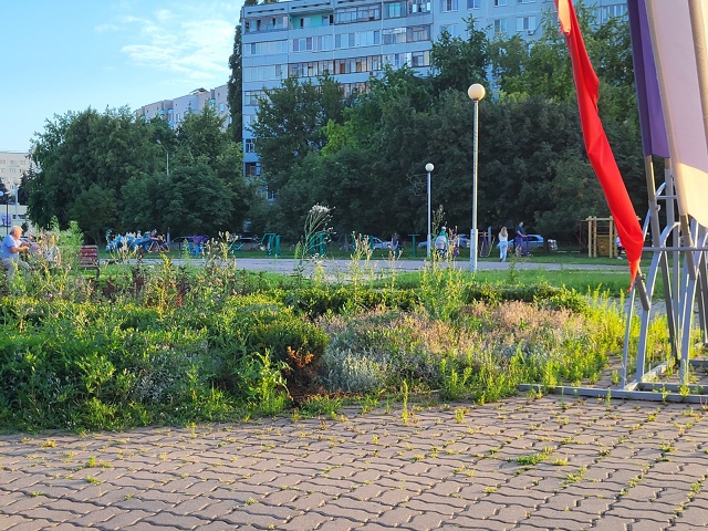В тему неухоженных клумб в нашем городе. Даже клумба По...