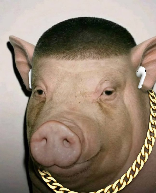 В интернете появился новый мем