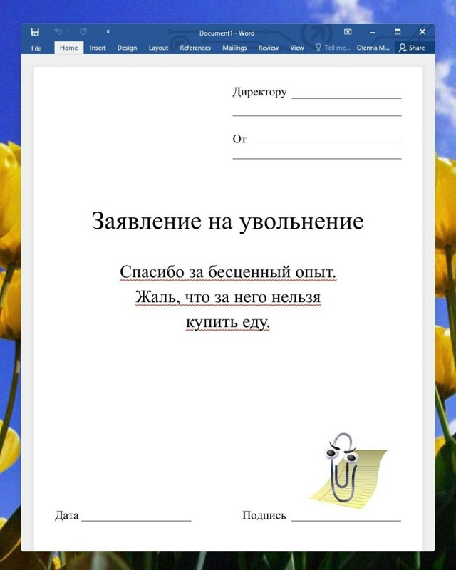 Заявление на увольнение, как крик души😅