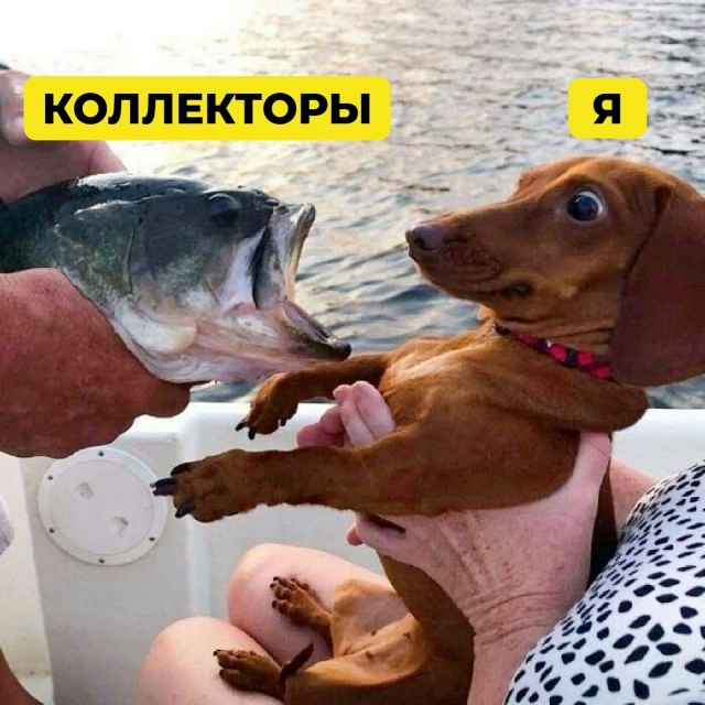 📈 Коллекторы звонят уже миллионам россиян.
За полгода...