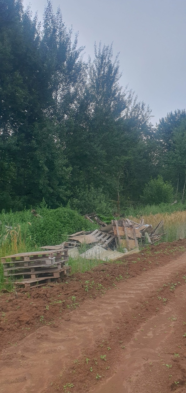 Товарищи, край леса - это не место для свалки!!! Хватит с?...