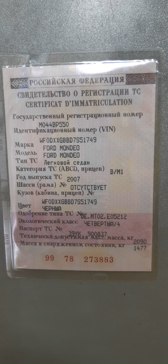 Чья потеряшка?