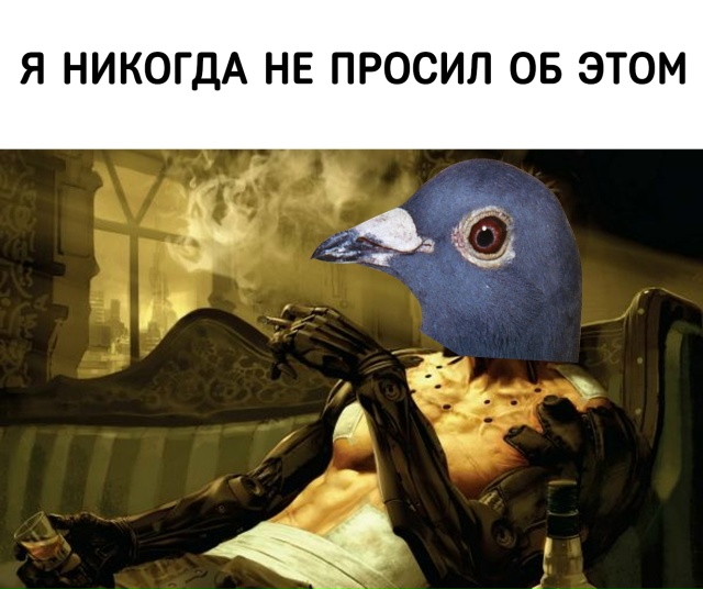 В Москве испытали... голубей-киборгов.
Российская Neiry п?...