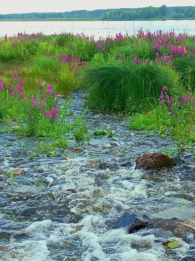 Чайковская ТЭЦ создала невероятный водопад на Каме! 🌊...