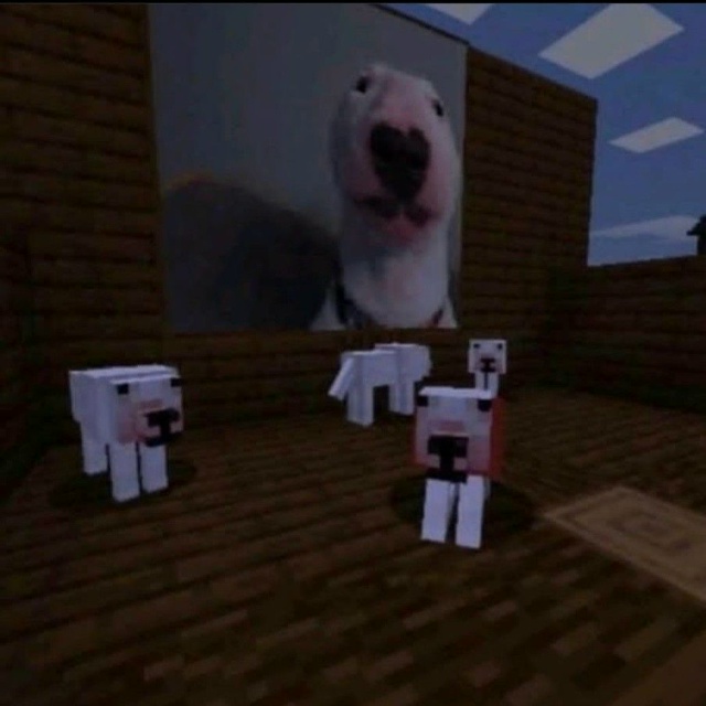 💰 А у нас вновь конкурс! Выполнение простых условий по...