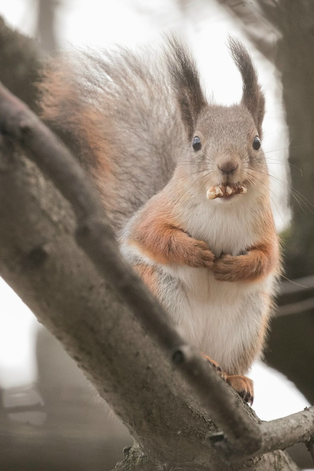 Придумайте подпись к фото. Ваши варианты ждем в коммен?...