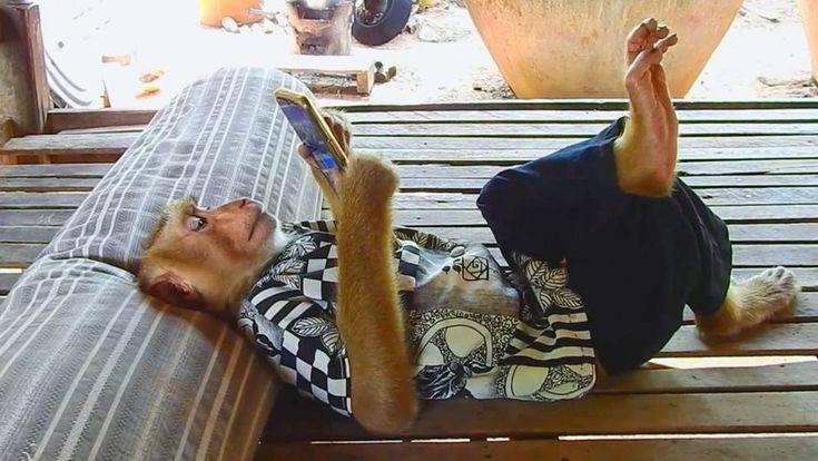 смотрю видео «как измениться за лето» (у меня меняется только число в календаре)