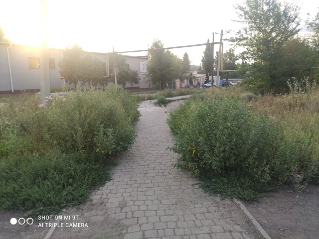Прогулялись сегодня вечером на 
