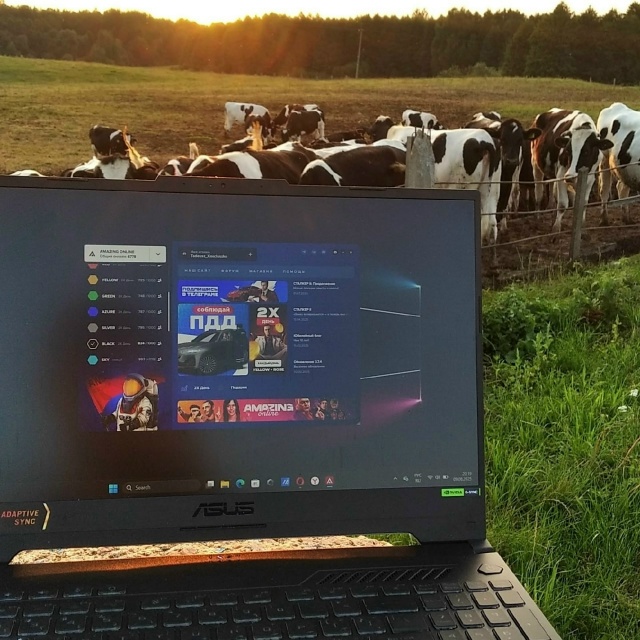 Пацаны поделились фотками того как они играют в Амазин...