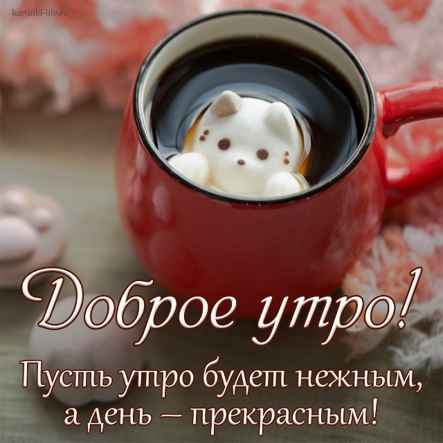 добро всем🙂