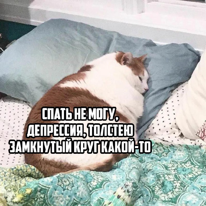 Жир на животе не только мешает застегнуть джинсы, но и нарушает сон.
Учёные выяснили, что каждый л