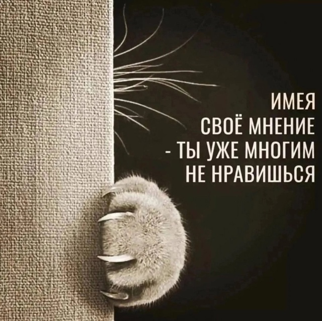 Всего лишь свое мнение