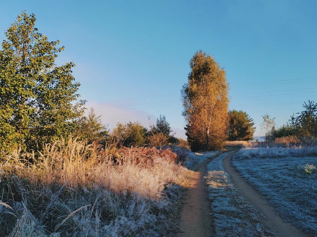 Первые заморозки в Лужском районе.