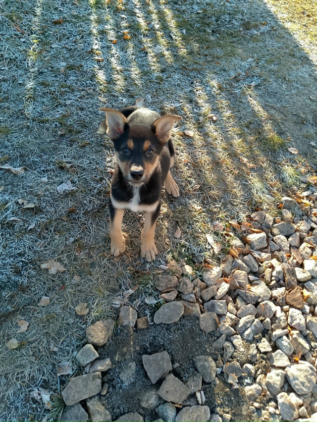 г. Бородино
Даша – 3 месяца
Очень активная, жизнерадост...