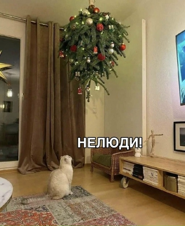 ? Нумерологи рассказали, когда лучше всего ставить но...