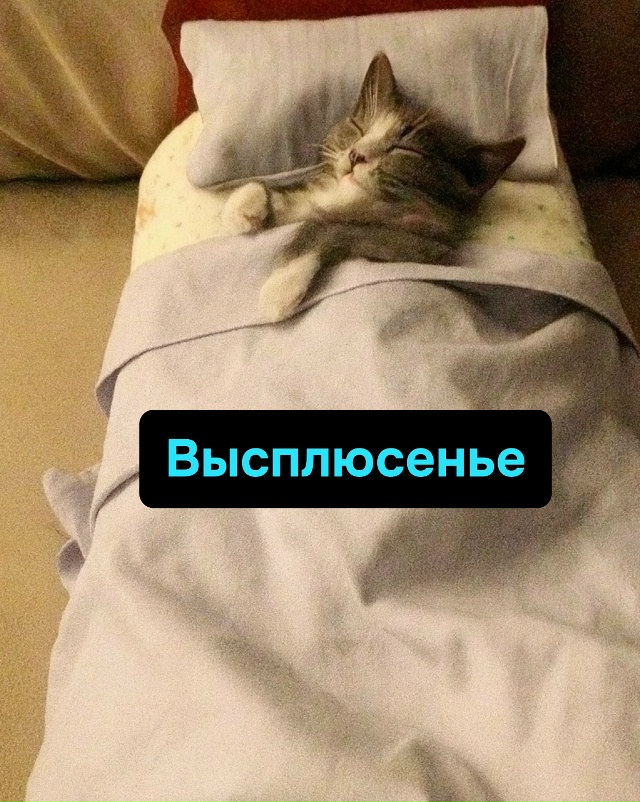 Рабочие дни придуманы зря, ведь по факту жить можно тол...