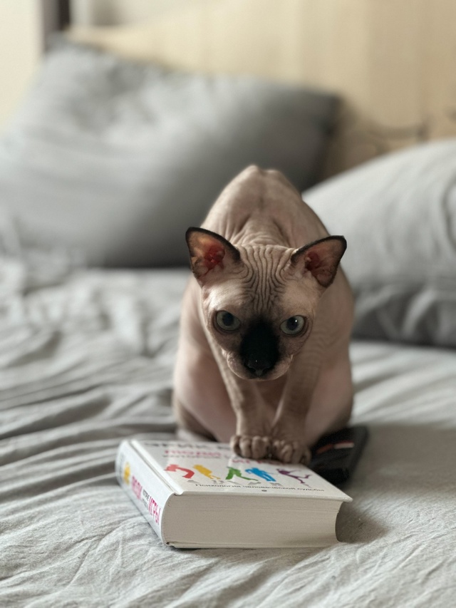 Кот Вагнер ???
Этим летом отмечаем пять лет совмес...