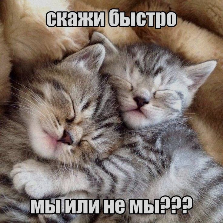 Ночная подборочка
Спать, режим