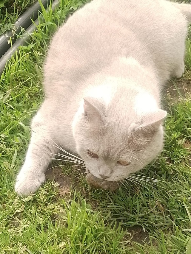 Здравствуйте! Крик о помощи! В посёлке Мурзинка потеря?...