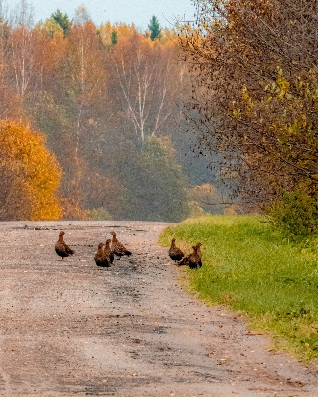 Придорожная тусовка 😃
📷 Сергей Чекалов
