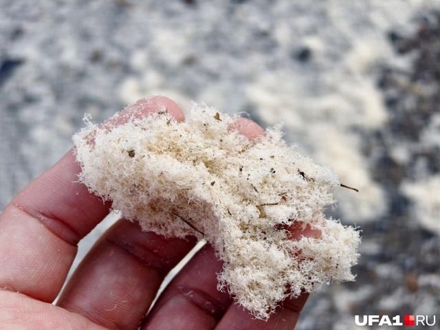 ⛄На севере Уфы выпал снег из опилок
«Опилкопад» случ?...