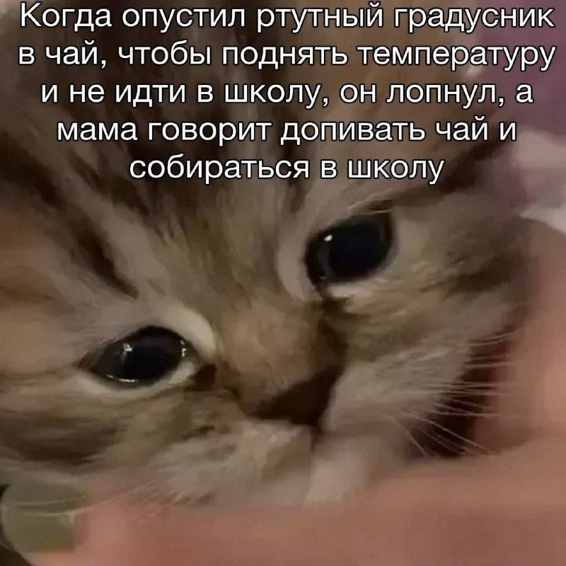 Утренняя подборочка