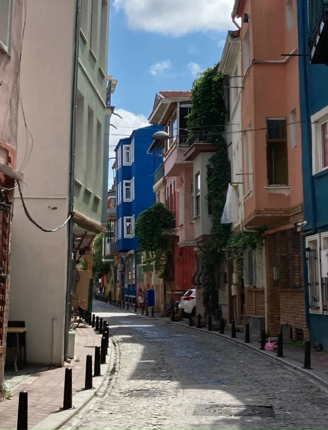 Коты района Балат. Стамбул.