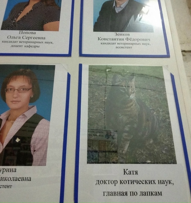 Катины лекции я бы послушала.