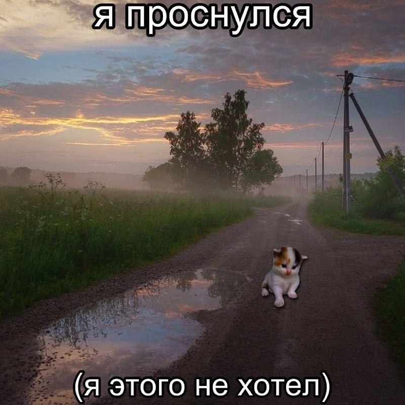 Утренняя подборочка