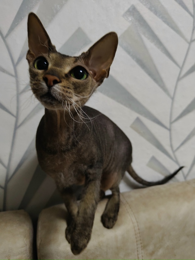 Вездесущие всратыши♥️♥️♥️