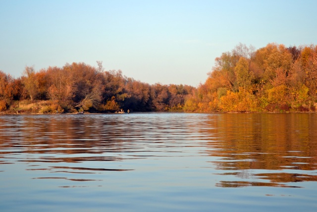 Золотая осень на Оке.