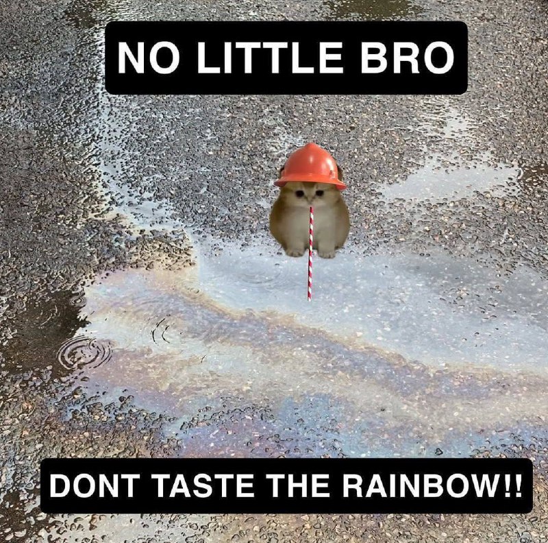 Утренняя подборочка